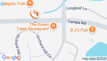 Palm Harbor, FL Auto Insurance Agency